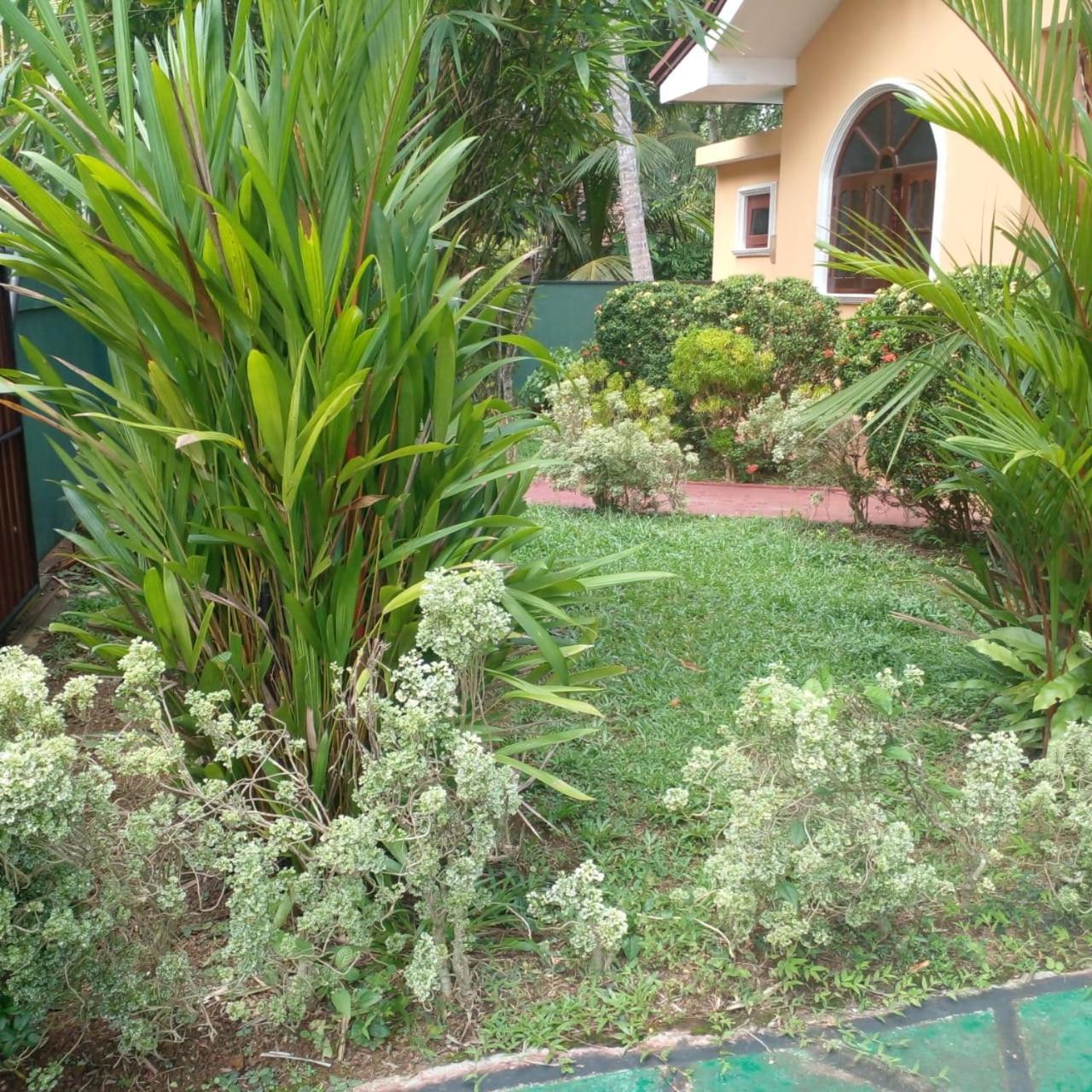 Grace Villa Бентота Екстериор снимка